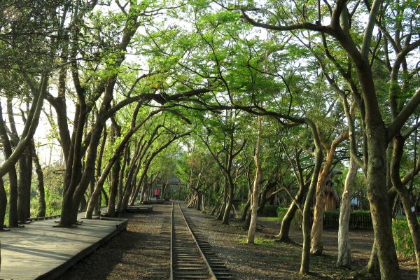 羅東自然教育中心：林蔭下的森林鐵路